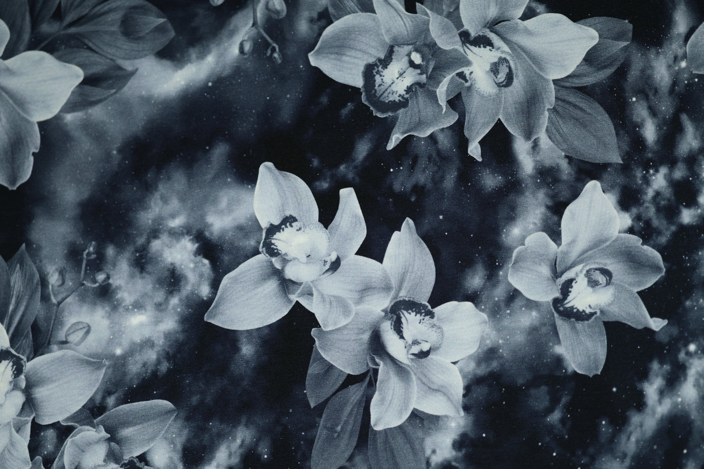Baumwollstoff mit Motiv: orchideen im weltraum-look – weich & kindgerecht.