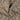 Lochstickerei-Stoff aus Baumwolle – Beige