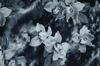 Baumwollstoff mit Motiv: orchideen im weltraum-look – weich & kindgerecht.