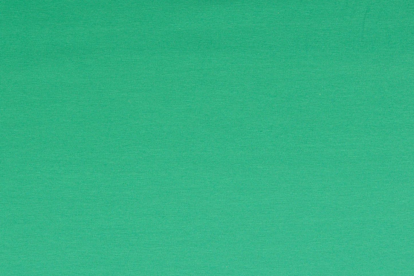 Baumwolljersey Apfelgrün für Kinderkleidung – ideal für Shirts und Kleider